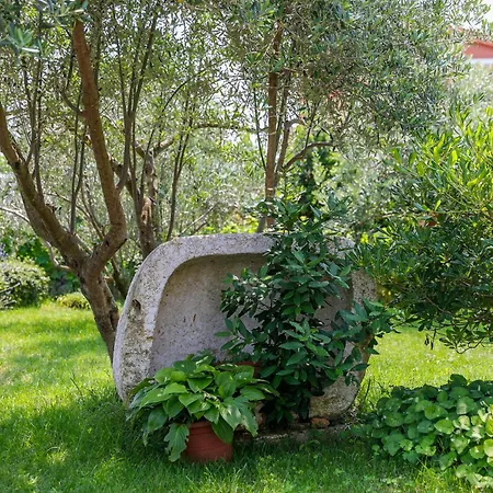 Galovic Villa Brzac